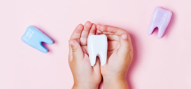 Child’s hand holding a tooth