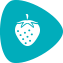 Strawberry Icon Strawberry Icon
