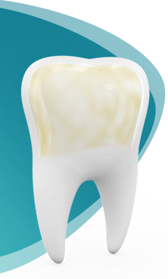 Pronamel Tooth