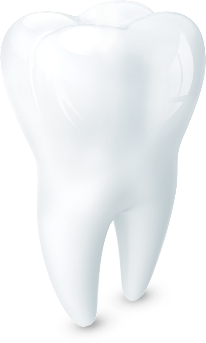 Image of a tooth
