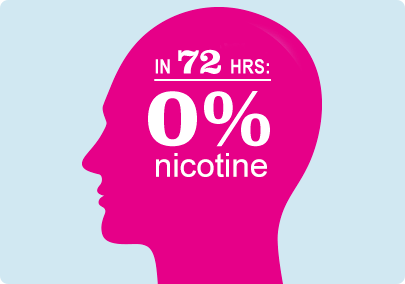 Illustration of a head indicating that the supply of nicotine in the bloodstream is gone within 72 hours of stopping smoking.