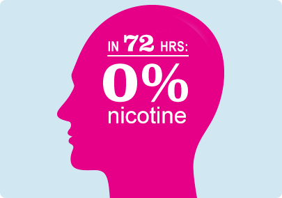 Illustration of a head indicating that the supply of nicotine in the bloodstream is gone within 72 hours of stopping smoking. Illustration of a head indicating that the supply of nicotine in the bloodstream is gone within 72 hours of stopping smoking.