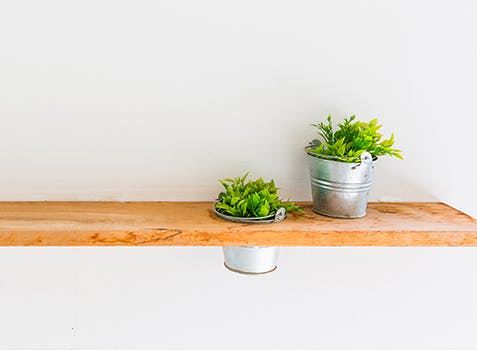 2 plants on a long indoor wooden shelf