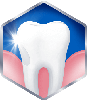 healthy gum and tooth