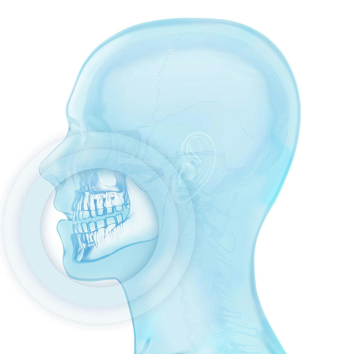 Illustration:side view of a human head showing x-ray style detail of teeth