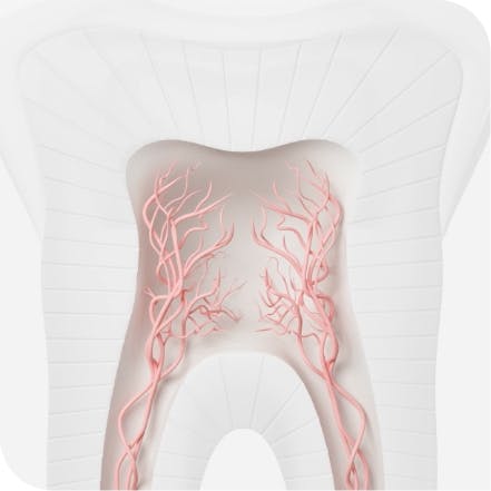 Sensodyne classic ohne fluorid - Die besten Sensodyne classic ohne fluorid verglichen