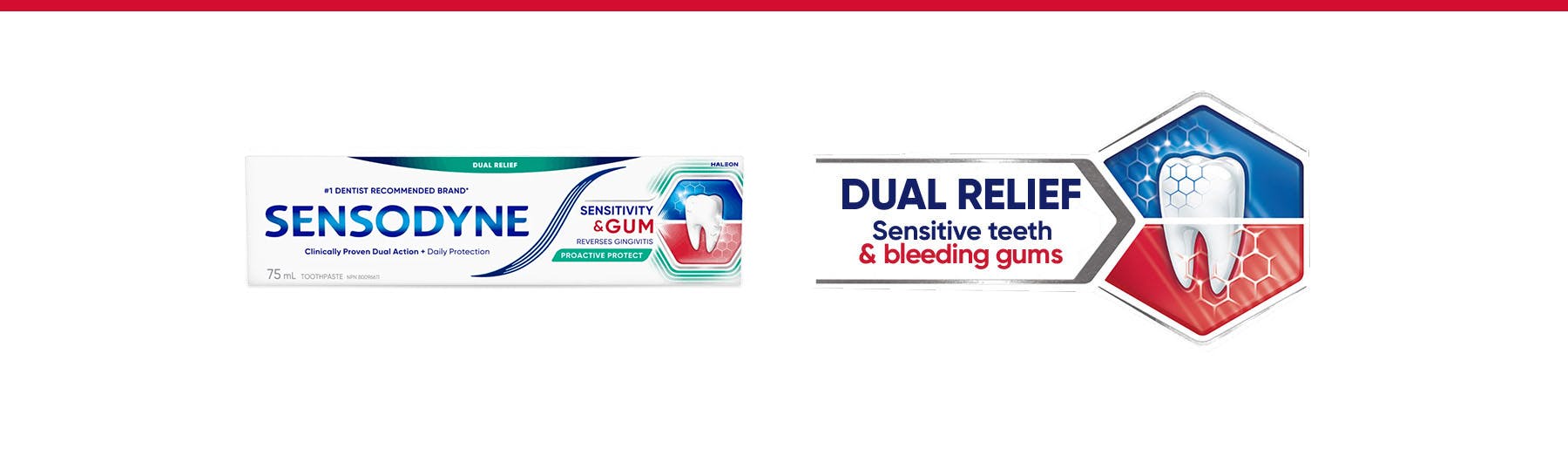 Dual relief from sensitive teeth proactive protect banner