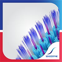 Toothbrush brushing teeth Toothbrush brushing teeth vertically