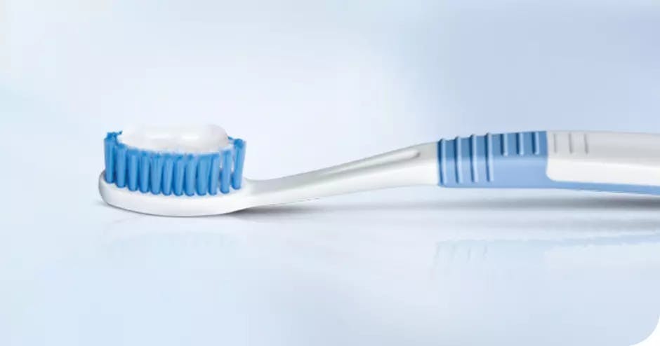 brushing teeth daily with a soft-bristled toothbrush