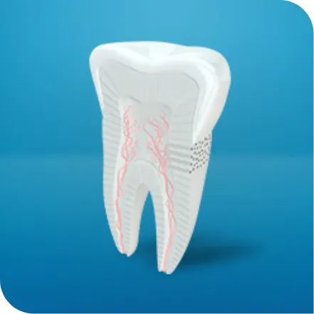Variety of Sensodyne Toothpaste products for tooth sensitivity