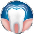 Icono de encías y dientes sanos