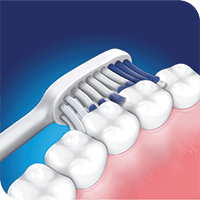 cepillo dental cepillando dientes