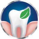 Icono de aliento fresco sabor a menta