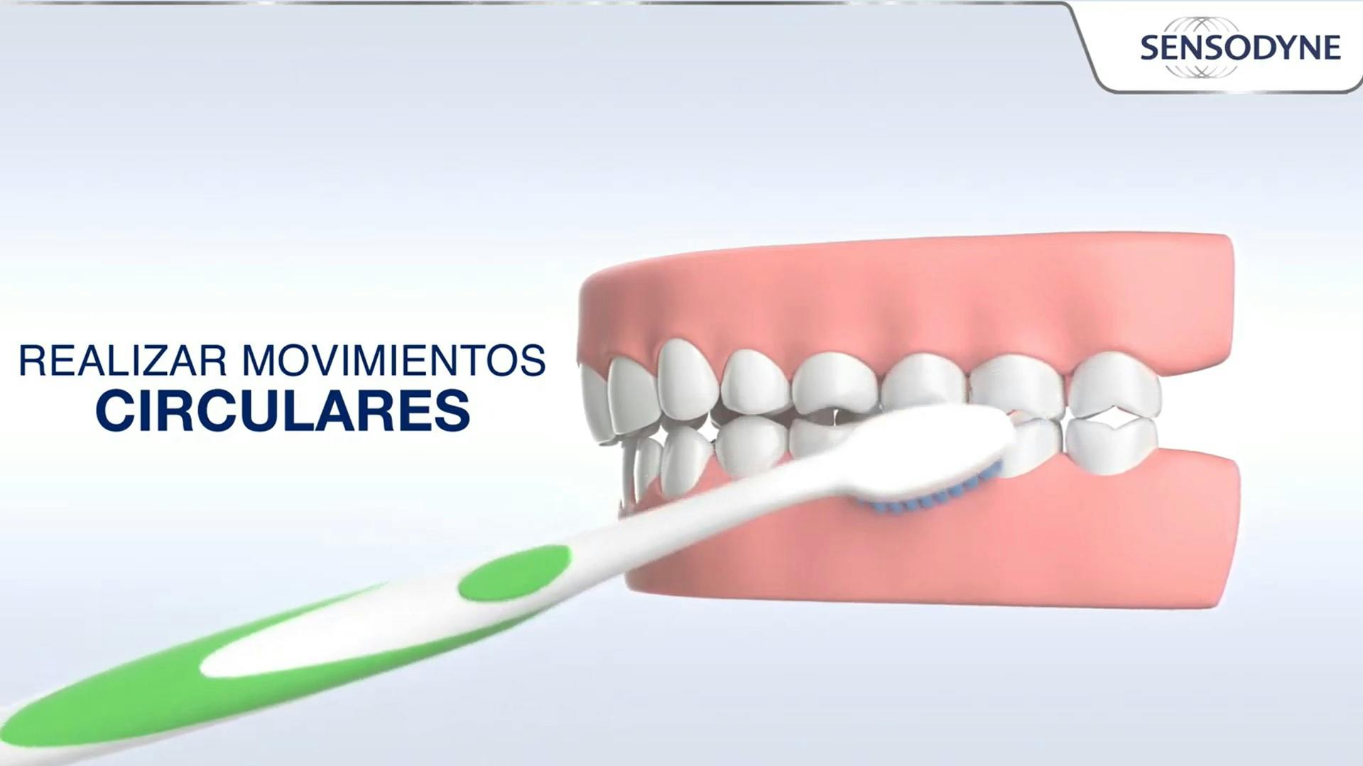 Video Cómo cepillar tus dientes