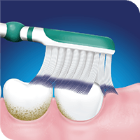 Cepillo de dientes cepillando los dientes verticalmente - Sensodyne ES