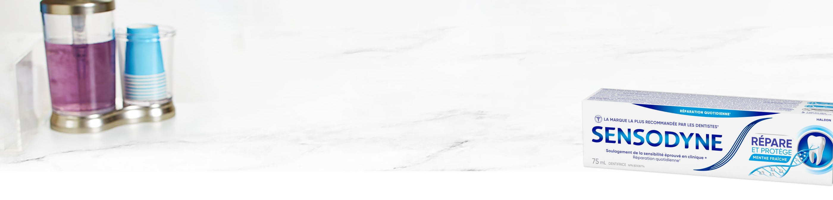 Ingrédients du dentifrice Sensodyne qui permettent de combattre la sensibilité dentaire