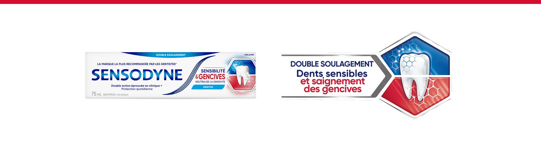 Bannière Double soulagement des dents sensibles