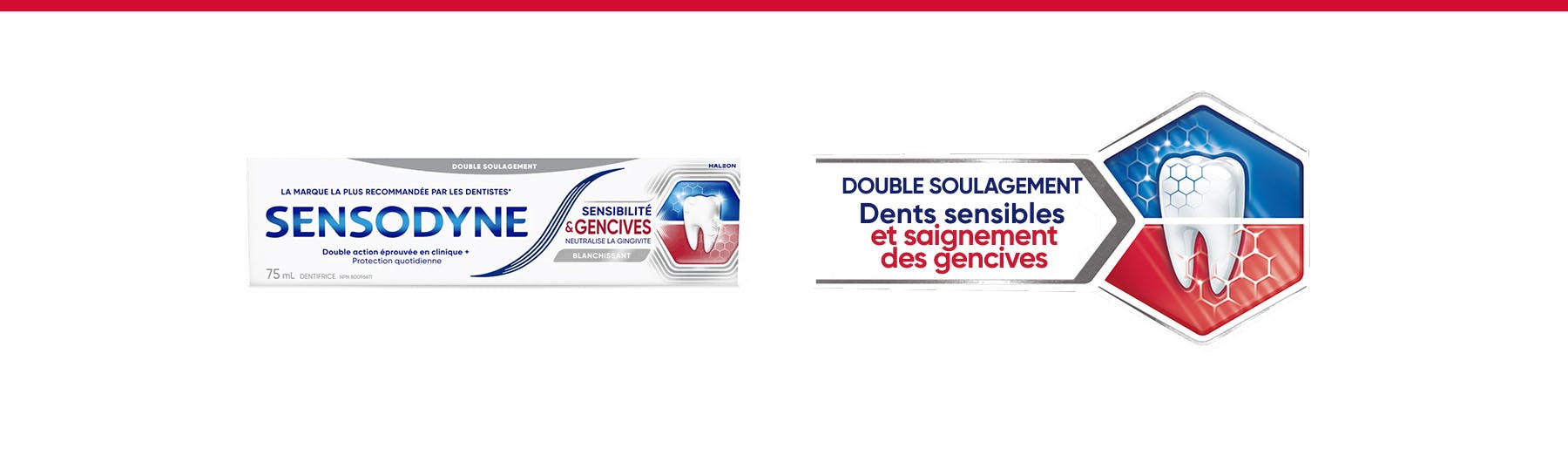 Bannière Double soulagement des dents sensibles