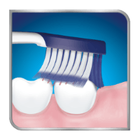 escova de dentes a escovar dentes na parte superior