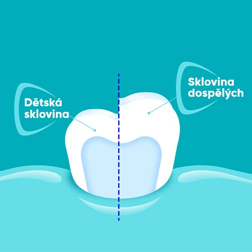 Sklovina mléčných zubů je o 50 % tenčí než sklovina zubů stálých