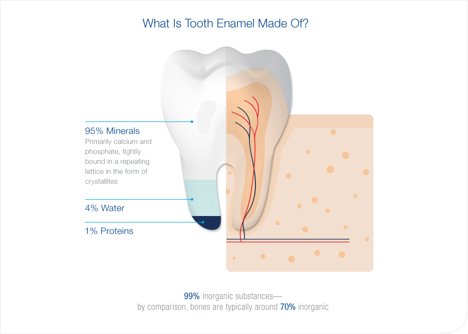 Split visulaization of tooth composition