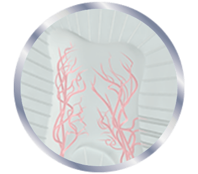 Example of tooth nerve pain