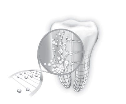 Fórmula de Sensodyne Repara y Protege