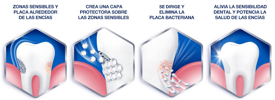 cómo funciona nuestra nueva pasta de dientes para la sensibilidad dental