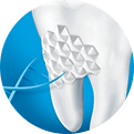 Sensodyne 2010 Sensodyne 2010