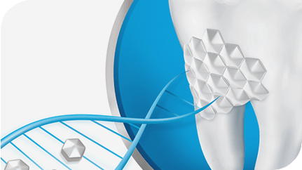 Sensodyne® Répare et Protège Blancheur
