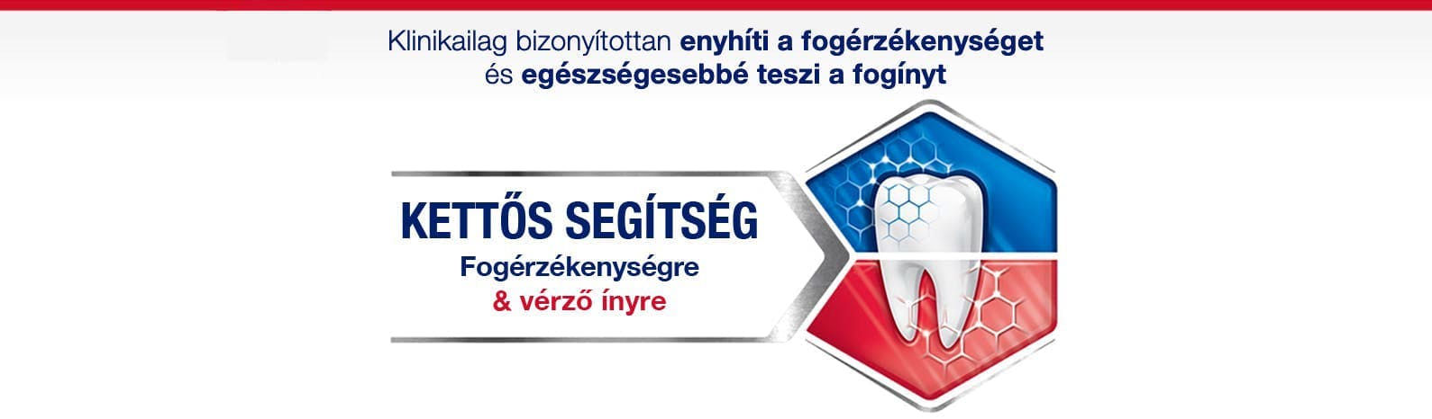 Kettős segítség-fog