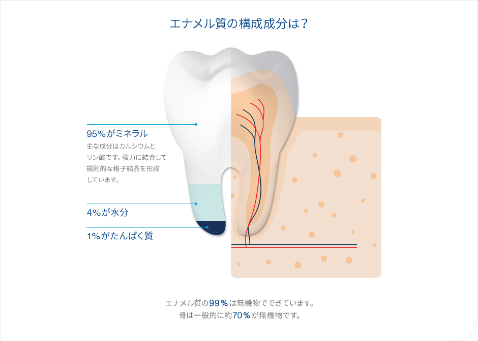 エナメル質の構成成分は? エナメル質の構成成分は?