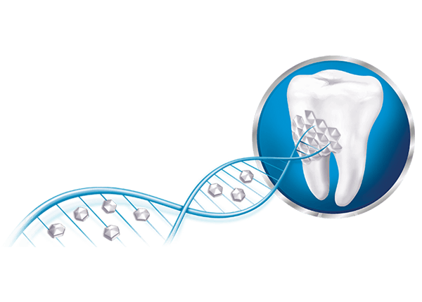 Sensodyne® | Repair and Protect Toothpaste