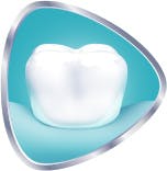 Tooth with strengthened enamel