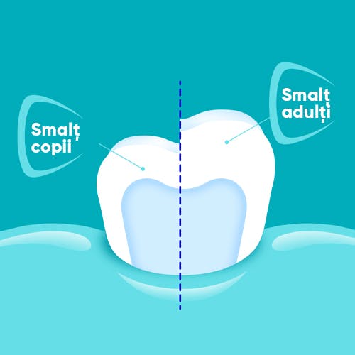 Smalțul dinților copiilor este cu 50% mai subțire decât al adulților