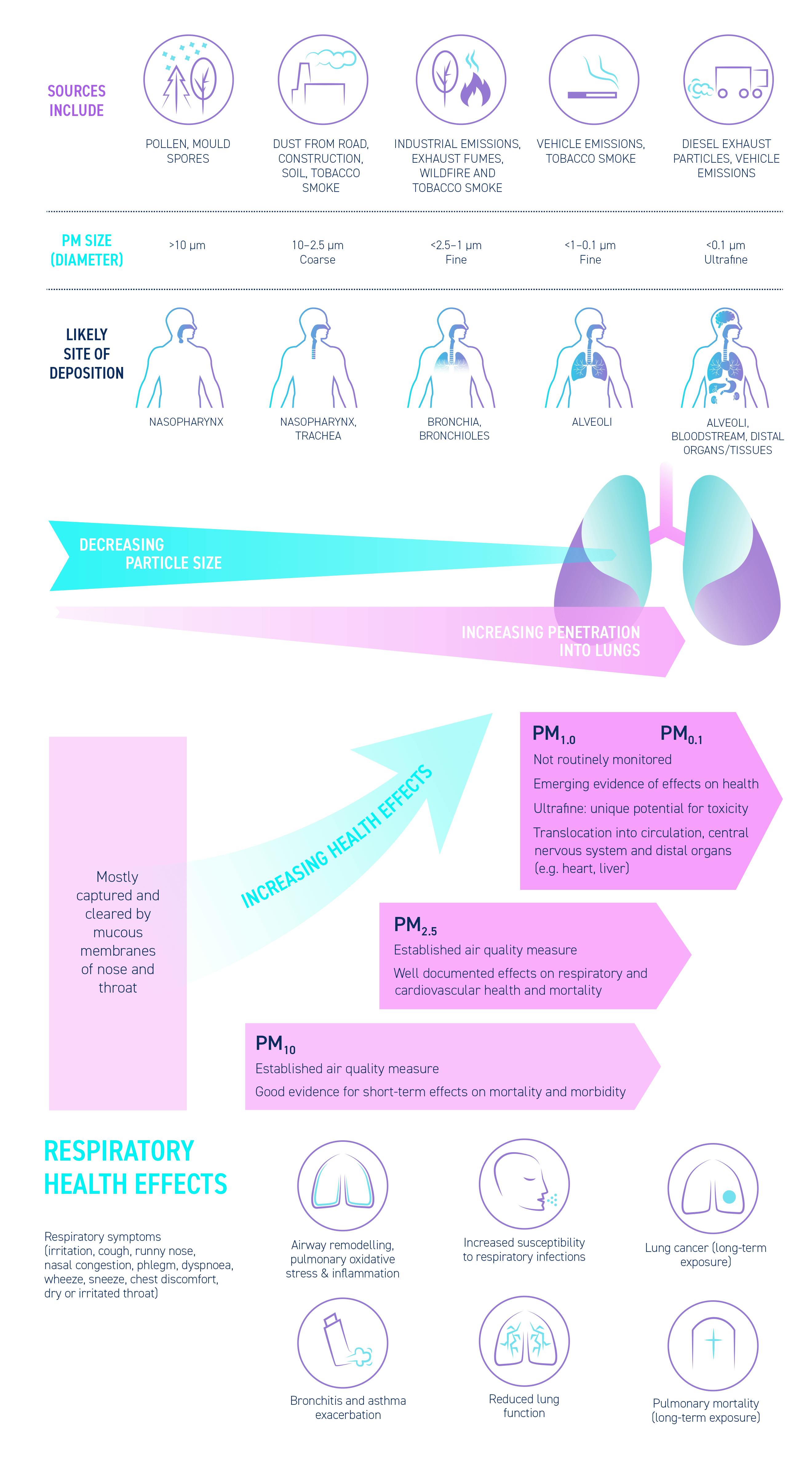 When air pollution becomes a health equity issue