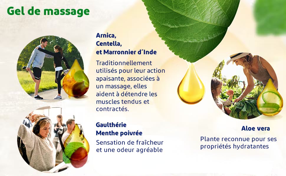 Gel de massage Voltanatura et ses plantes naturelles : Arnica, Aloe Vera et Gaulthérie 