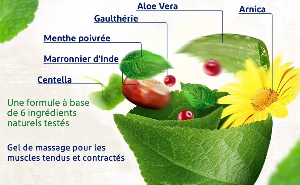 Plantes qui composent Voltanatura Plantes qui composent le gel Voltanatura pour apaiser les tensions musculaires