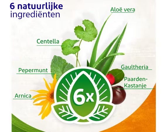 Infographics Gel Voltanatura en zijn 6 plantenextracten 