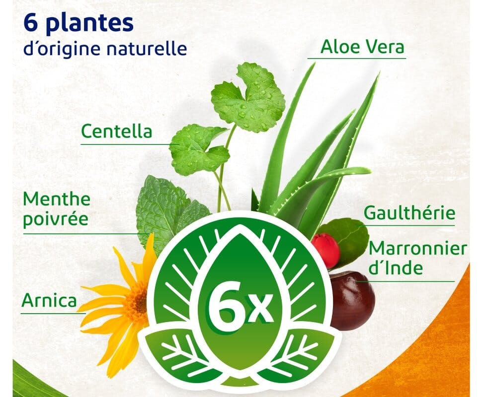 Infographie qui montre les six plantes qui composent VoltaNatura gel