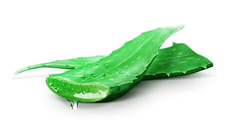 Aloe Vera ingrediens för återfuktande och lugnande känsla