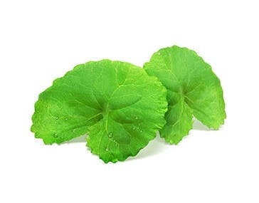 Centella ingrediens för lugnande känsla