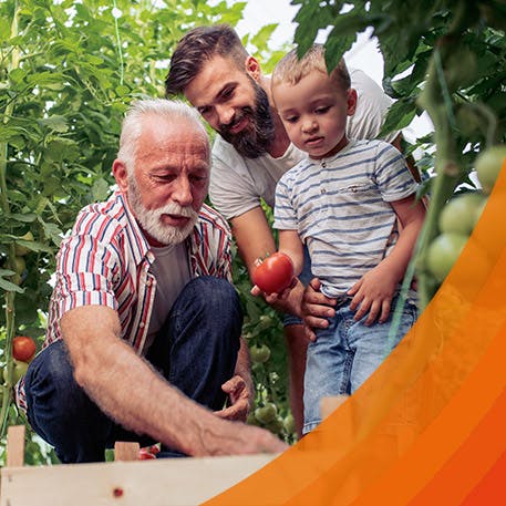 Großvater kniet ohne Rückenschmerzen im Garten und zeigt Enkelkind Gemüse