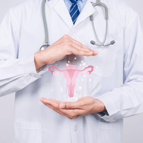 Ärztin zeigt ein Gebärmutter-Modell.