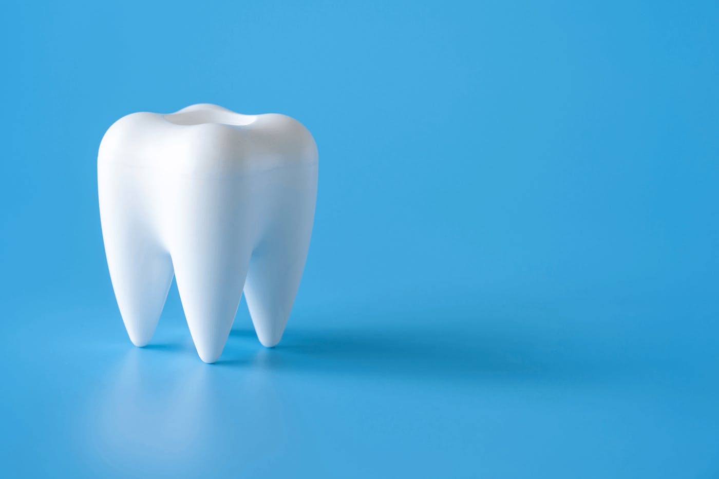 Modell eines Zahnes auf farbigem Grund.