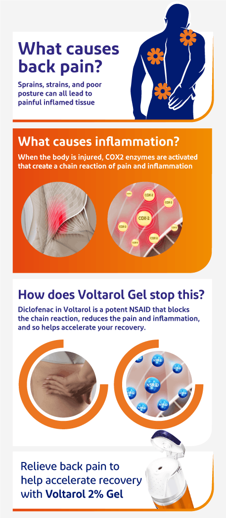 What causes back pain Infographic: What causes back pain?