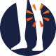knee.png