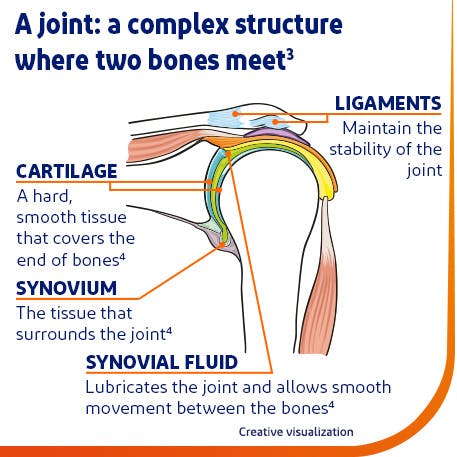 Shoulder Pain - Causes, Symptoms & Relief - Iodex India