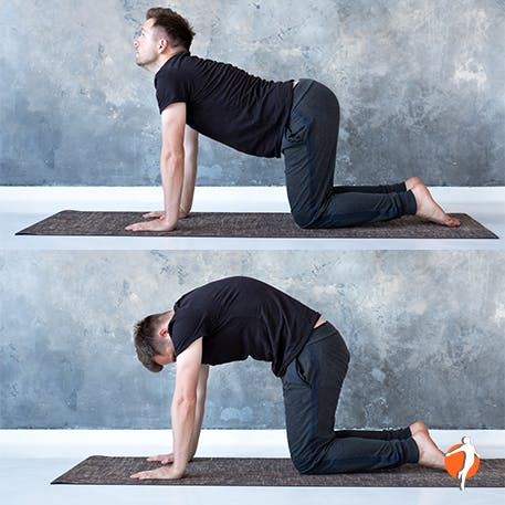 4 Yoga Poses for Back Pain - Iodex India