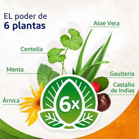 EL poder de 6 plantas - Voltadol